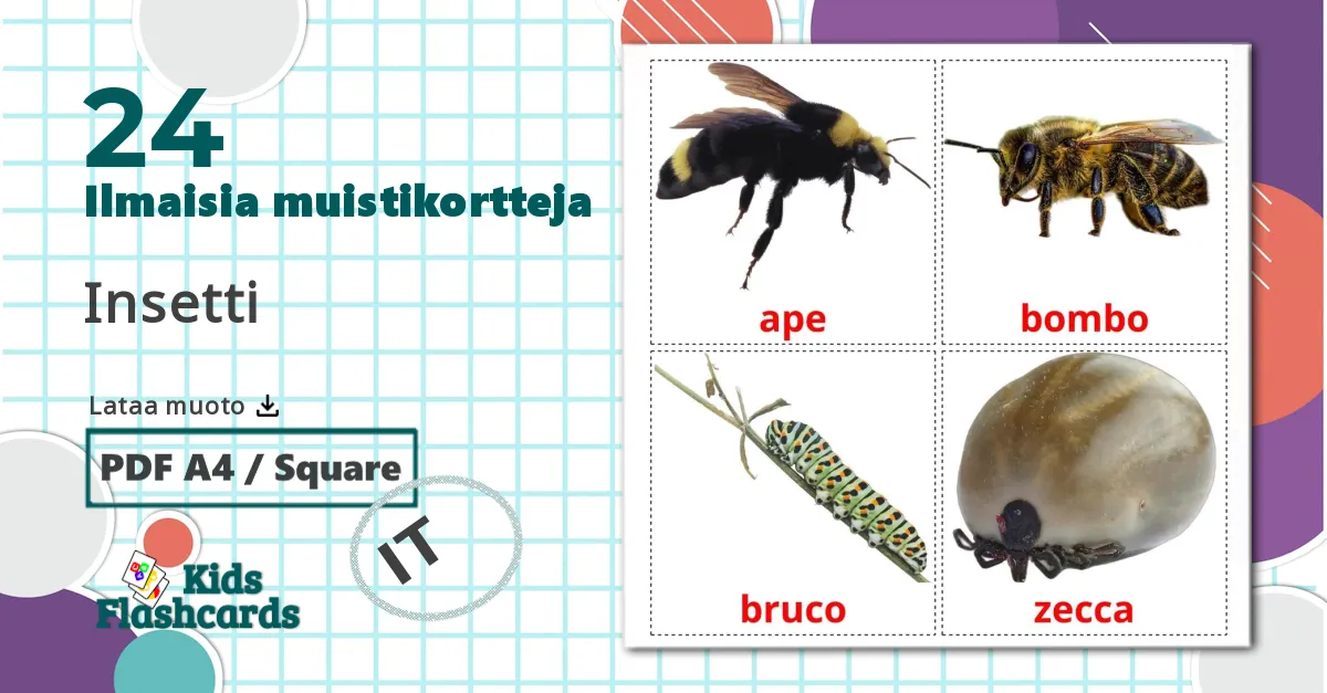 24 Insetti lasten kuvakortit