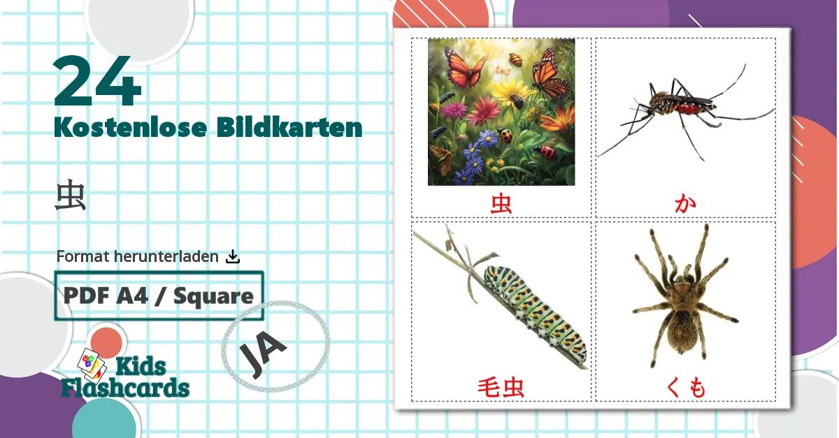 24 Bildkarten für 虫