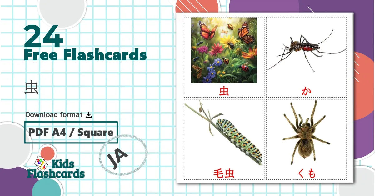 24 虫 flashcards