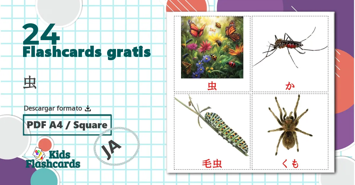 24 tarjetas didacticas de 虫