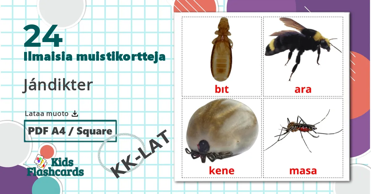 24 Jándіkter lasten kuvakortit