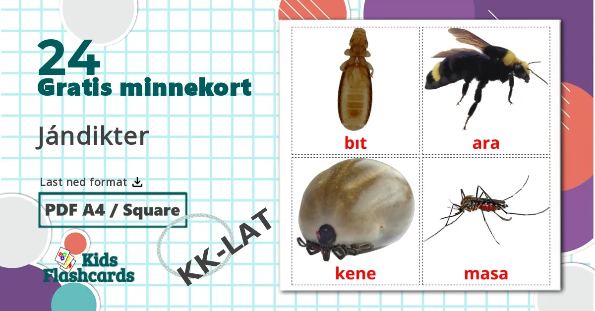 24 Jándіkter bildekort