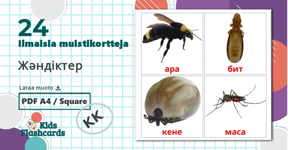 24 Жәндіктер  lasten kuvakortit