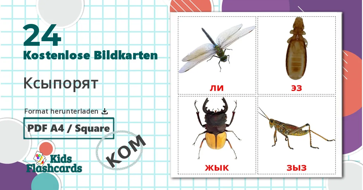24 Bildkarten für Insekt