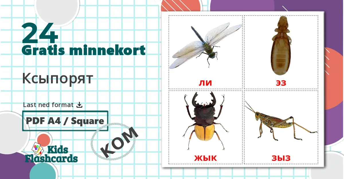 24 Flashcards de Familiemedlemmer