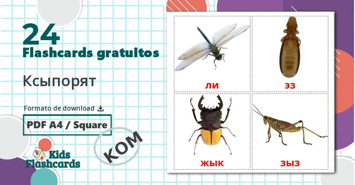 24 Flashcards de Insetos