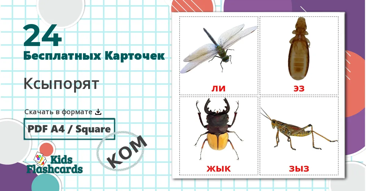 24 Карточки Домана Насекомые
