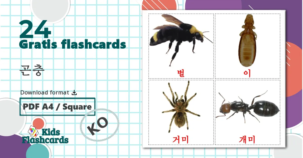 24 곤충 billedkort for børn