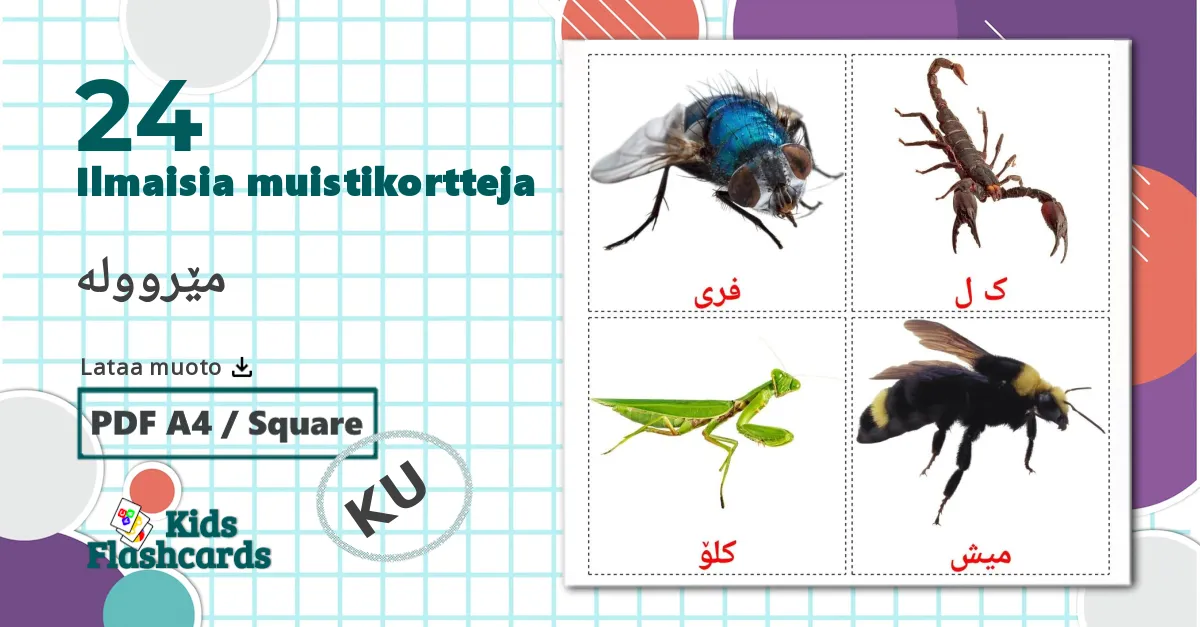 24 Hyönteiset lasten kuvakortit