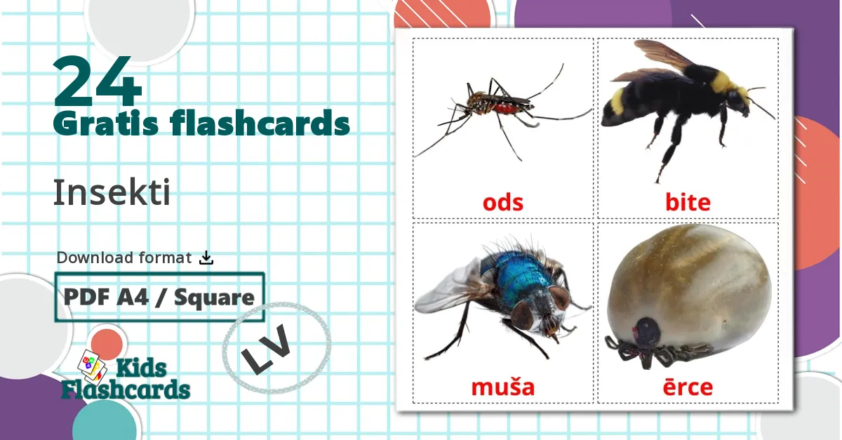 24 Insekti billedkort for børn