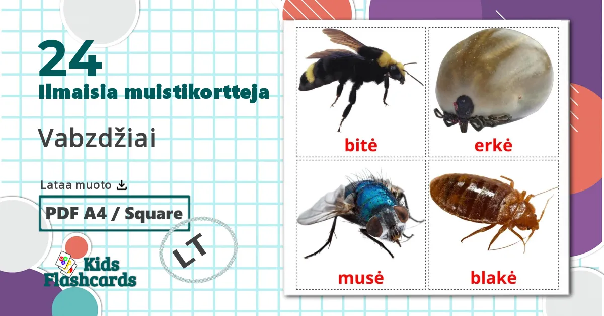24 Vabzdžiai lasten kuvakortit
