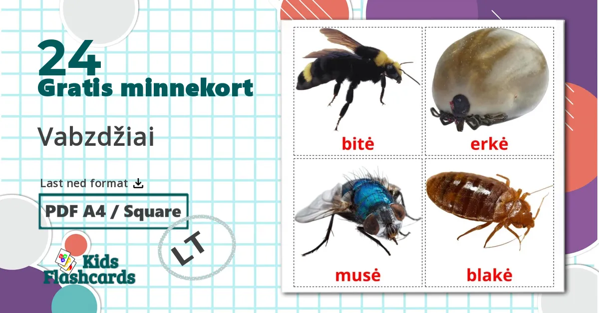 24 Vabzdžiai bildekort