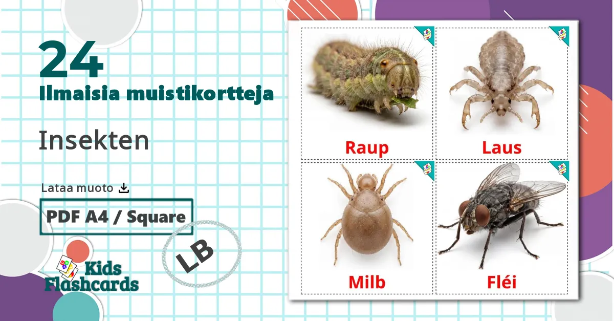 24 Hyönteiset lasten kuvakortit
