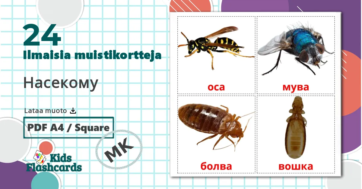 24 Насекому lasten kuvakortit
