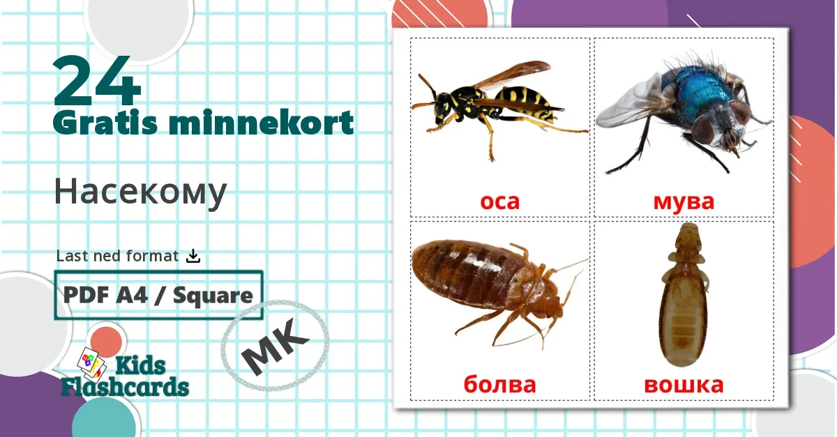 24 Насекому bildekort