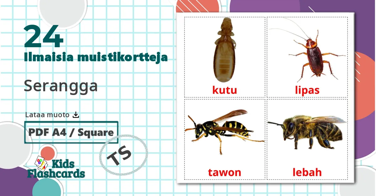 24 Serangga lasten kuvakortit