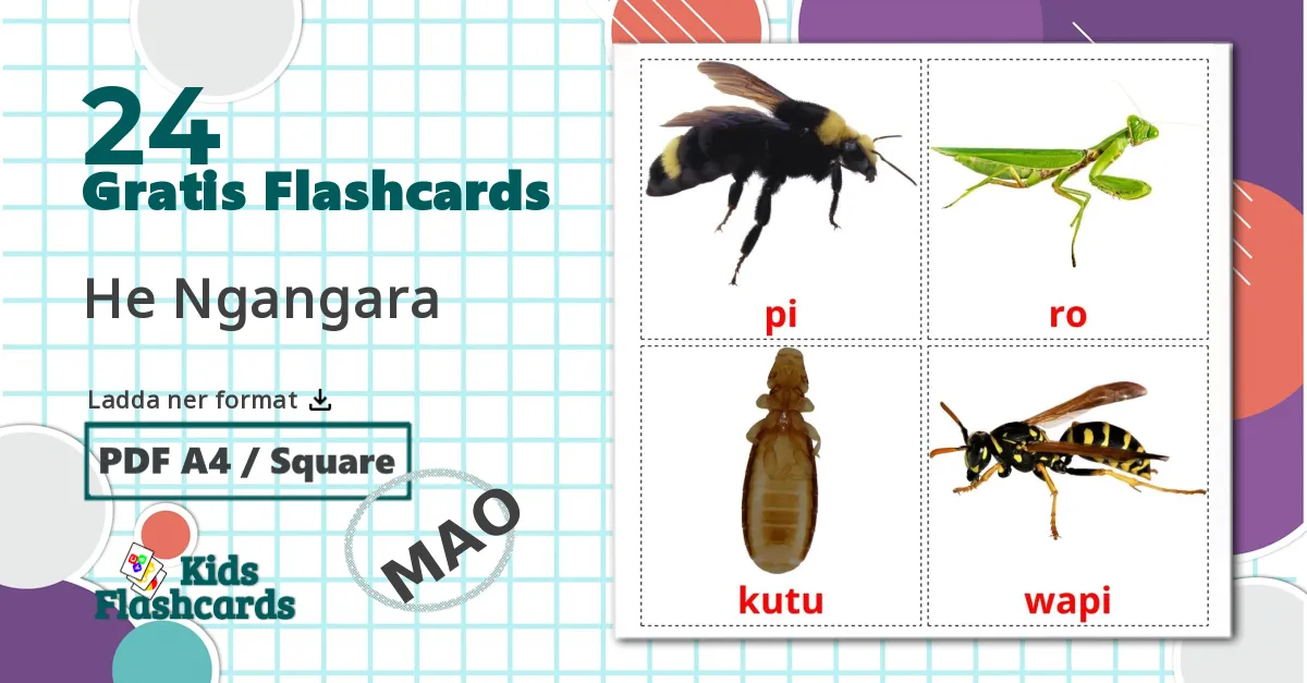24 He Ngangara bildkort för barn