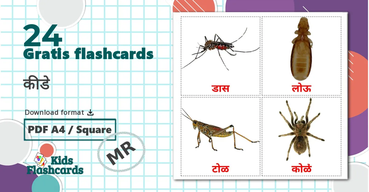 24 कीडे billedkort for børn