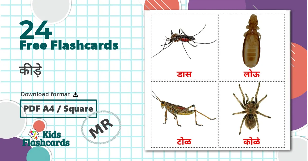 11 Farm animals flashcards