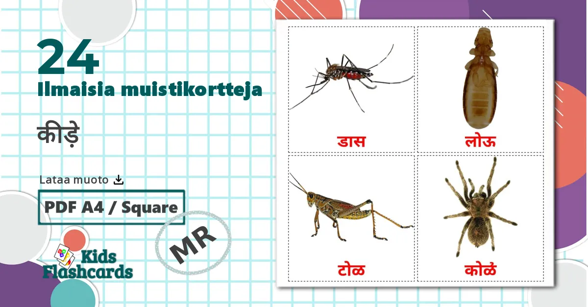 24 Hyönteiset lasten kuvakortit