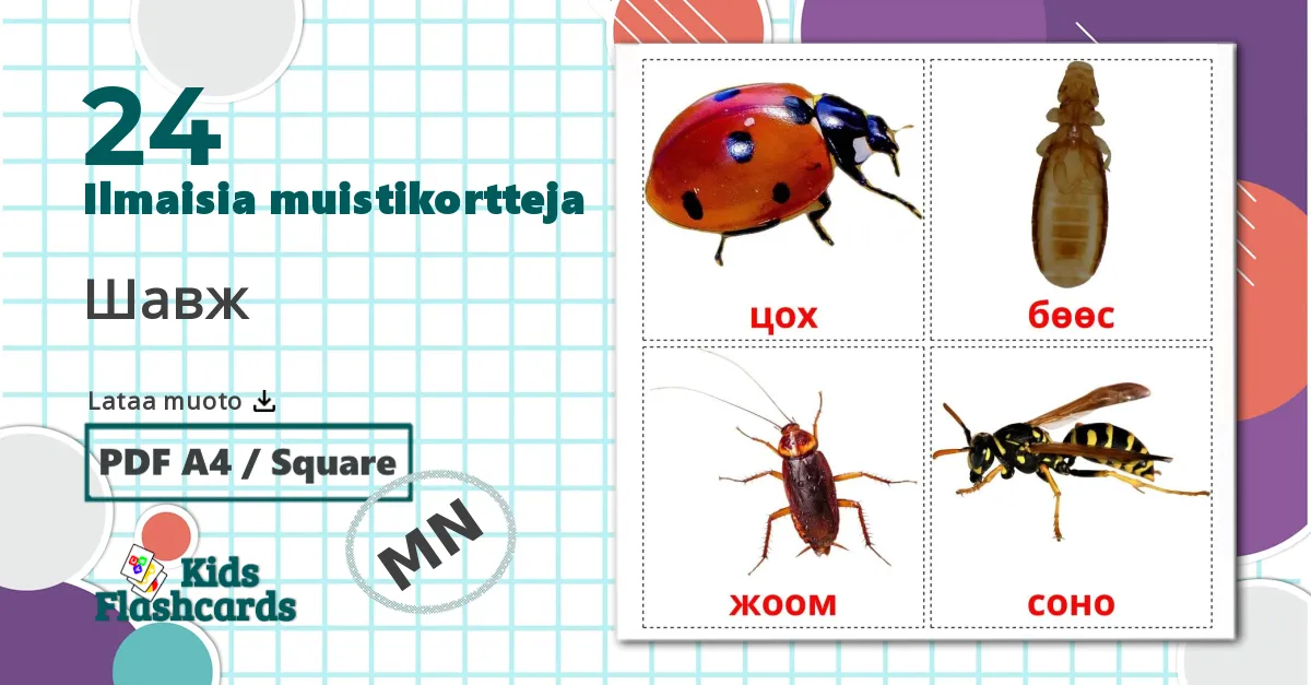 24 Шавж lasten kuvakortit