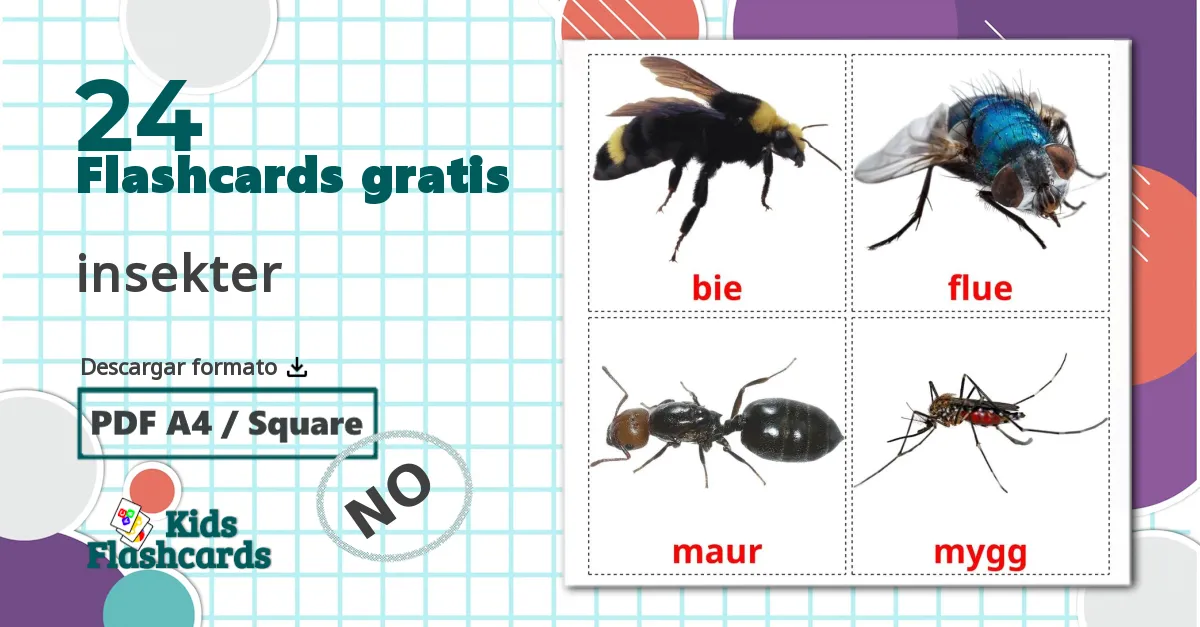 24 tarjetas didacticas de insekter