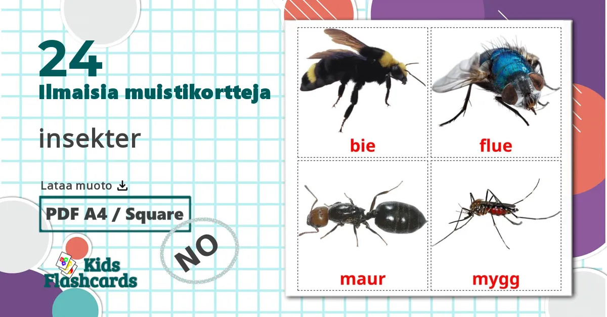 24 insekter lasten kuvakortit