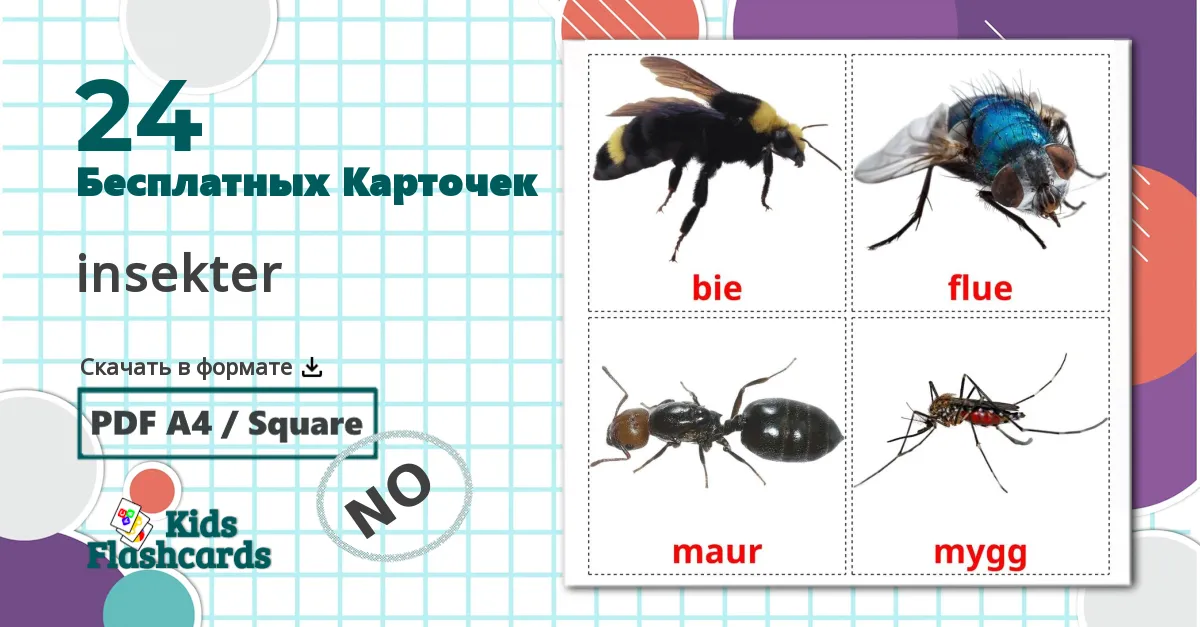 24 Карточки Домана insekter