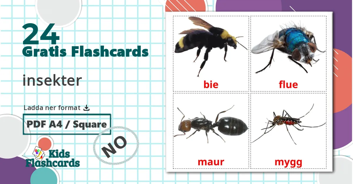 24 insekter bildkort för barn