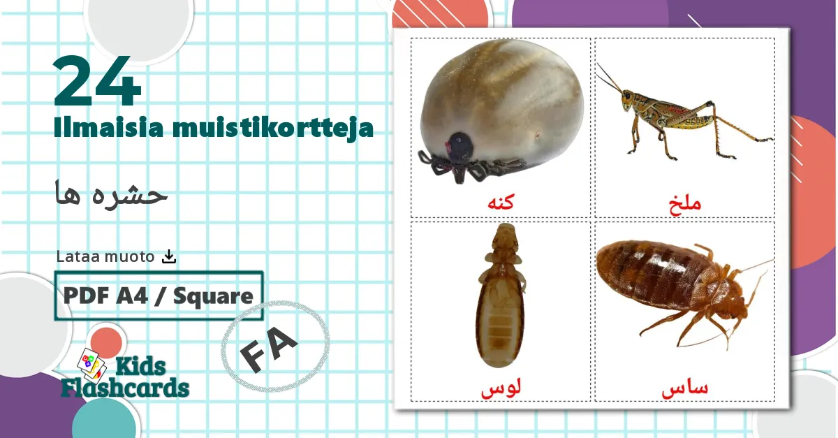 24 حشره ها lasten kuvakortit
