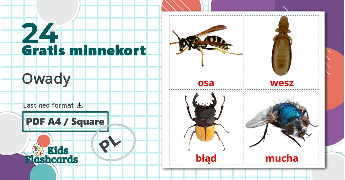 24 Owady bildekort