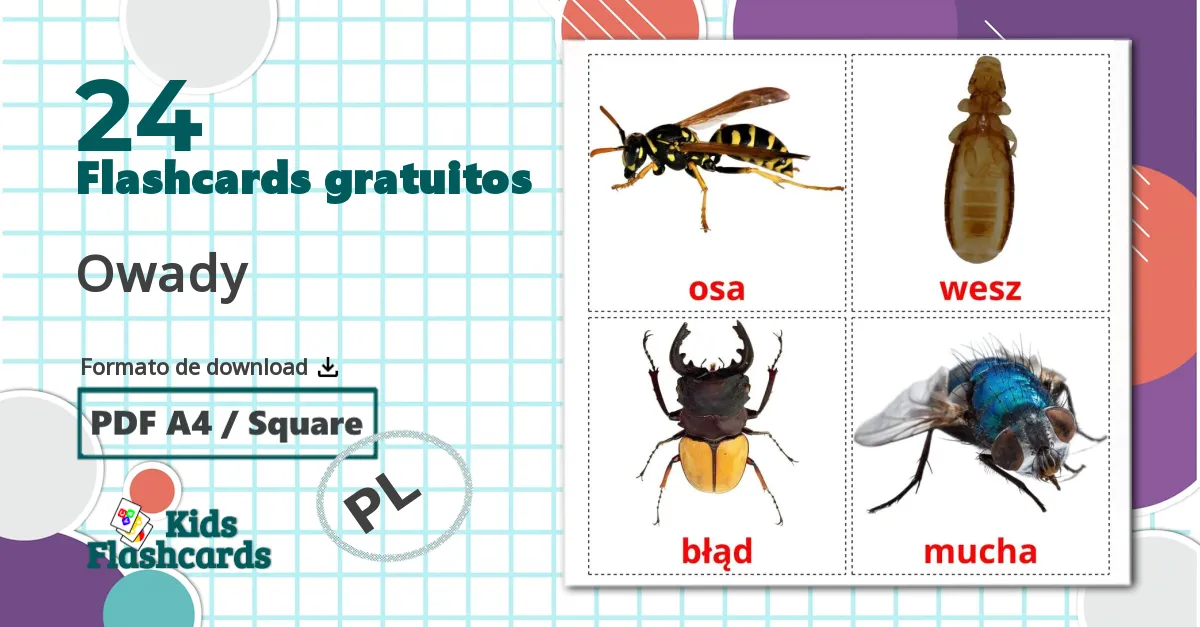 24 Flashcards de Owady