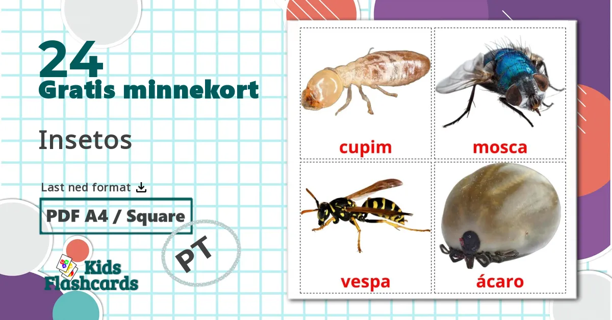 24 Insetos bildekort