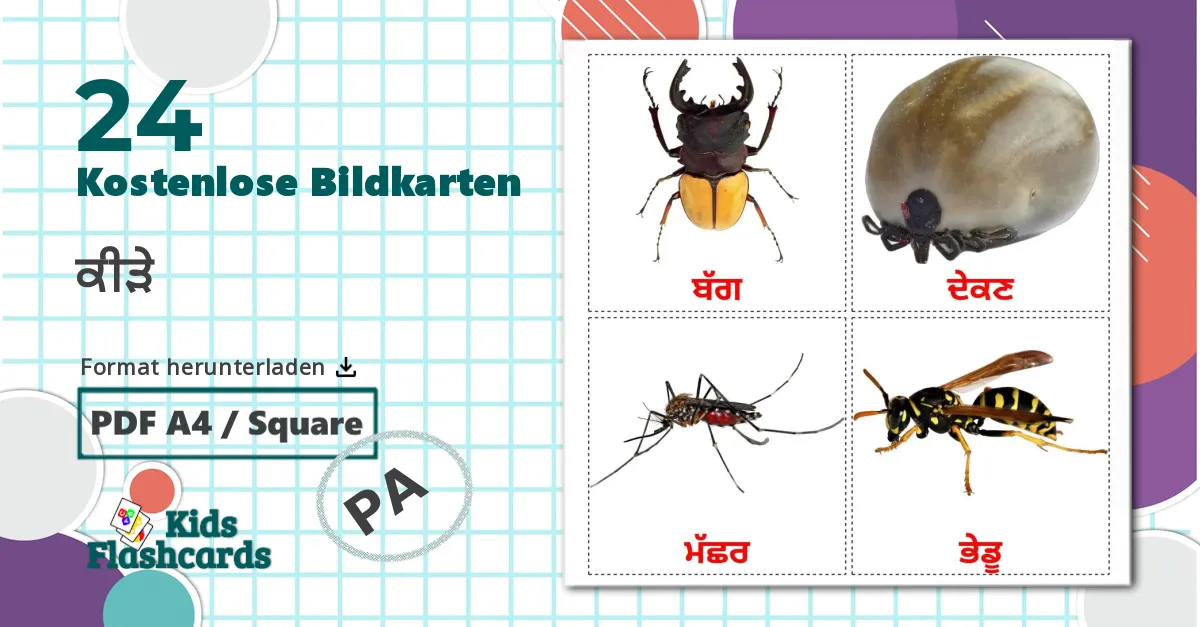 24 Bildkarten für ਕੀੜੇ