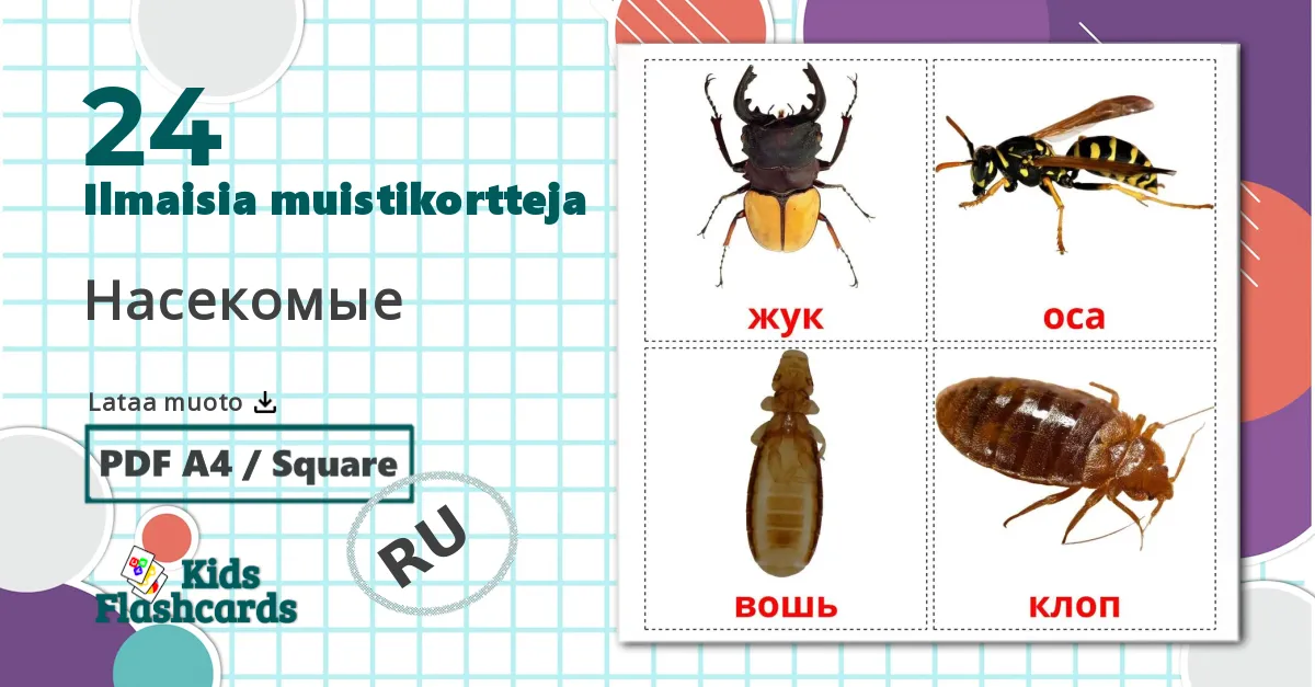 24 Насекомые lasten kuvakortit