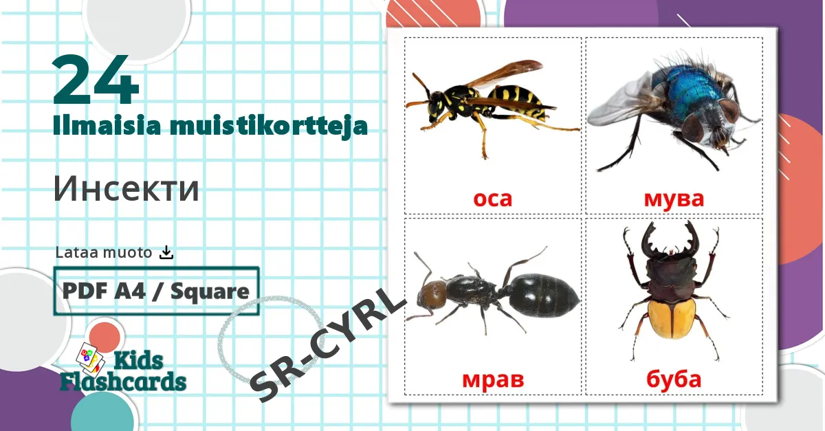 24 Инсекти lasten kuvakortit