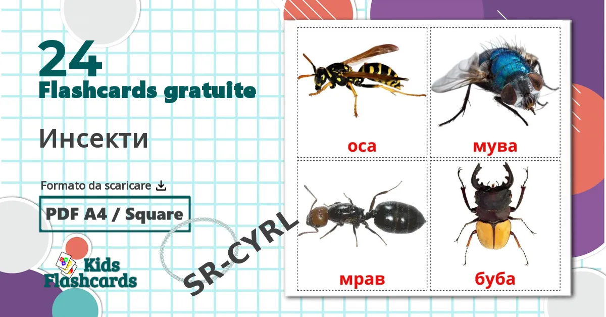 24 flashcards di Инсекти