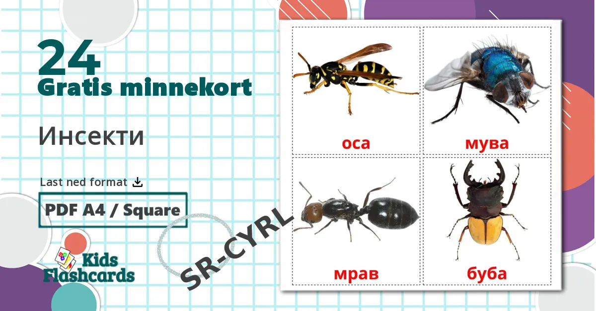 24 Инсекти bildekort