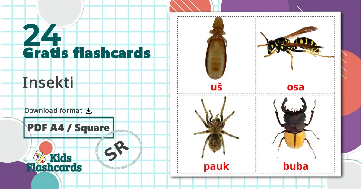24 Insekti billedkort for børn