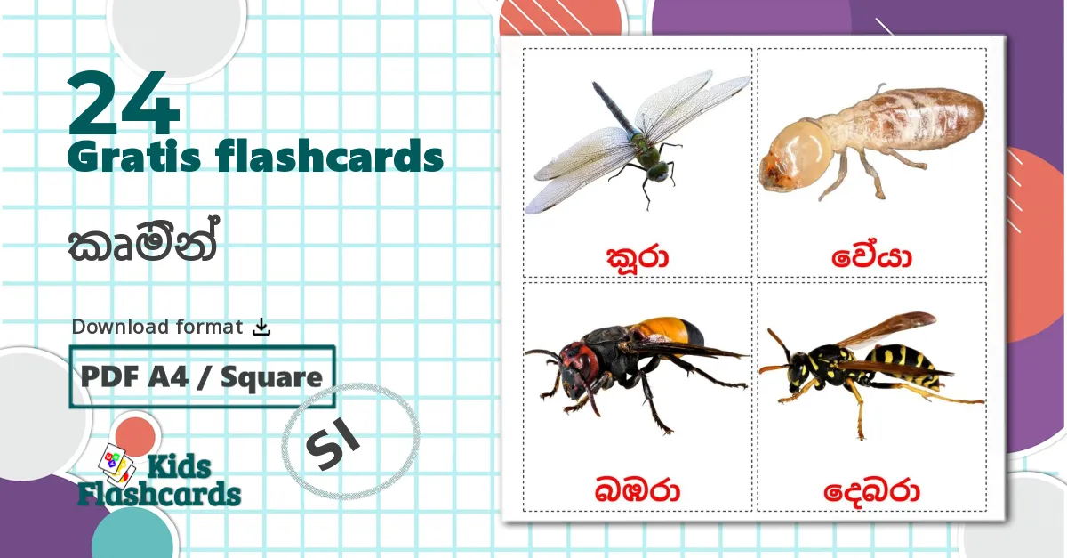 24 කෘමින්  billedkort for børn