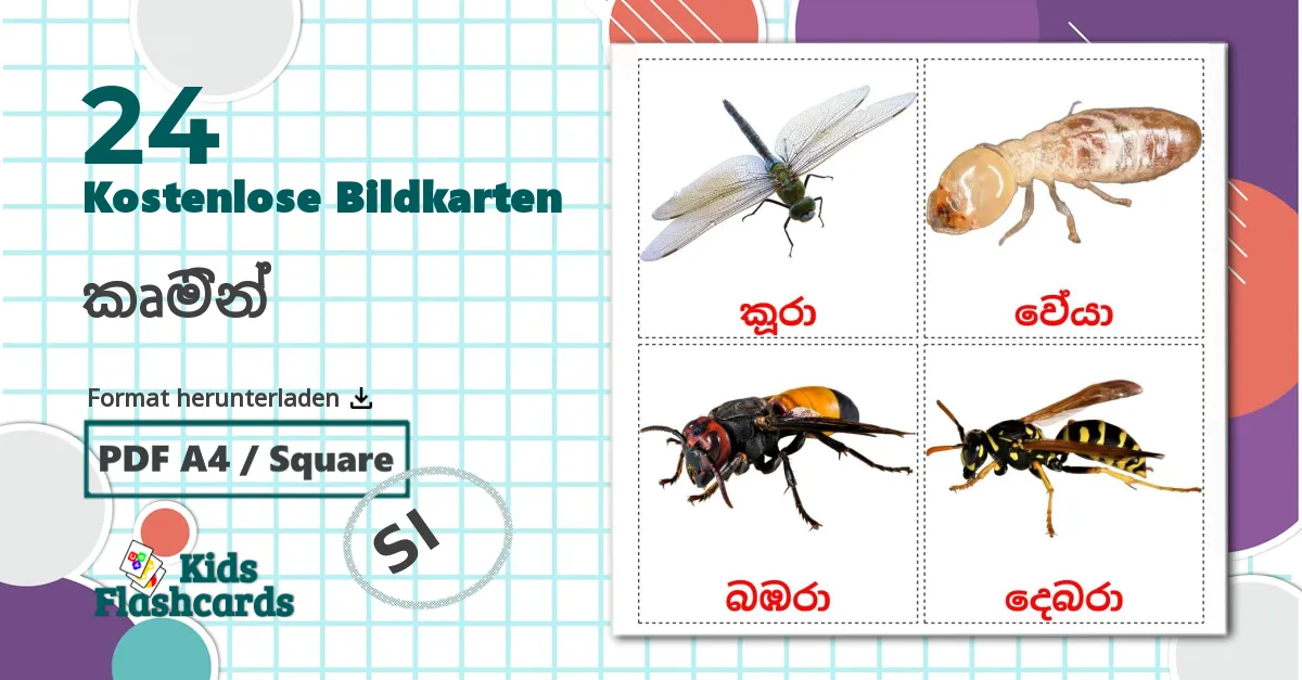 24 Bildkarten für කෘමින්