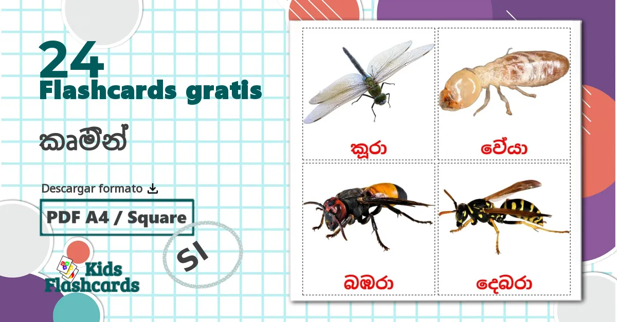 24 tarjetas didacticas de කෘමින්