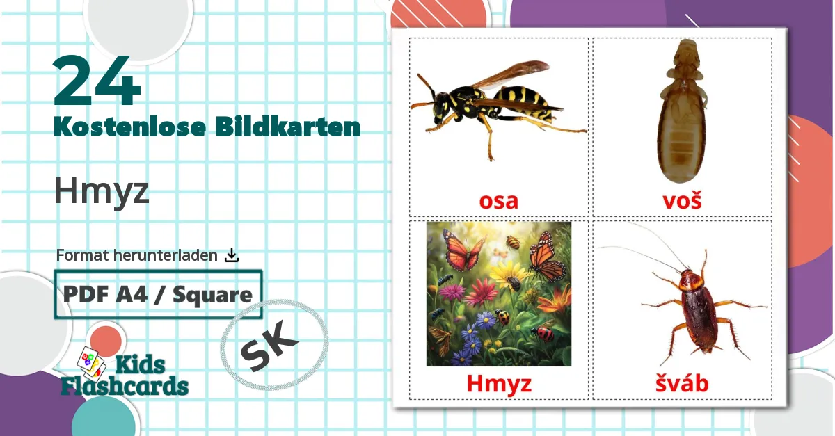 24 Bildkarten für Hmyz