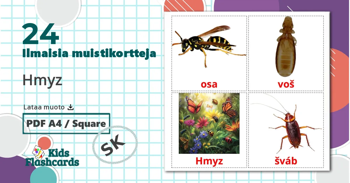 24 Hmyz lasten kuvakortit
