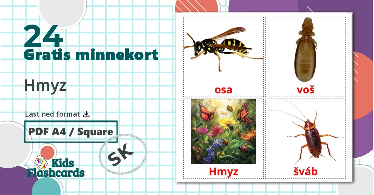 24 Hmyz bildekort