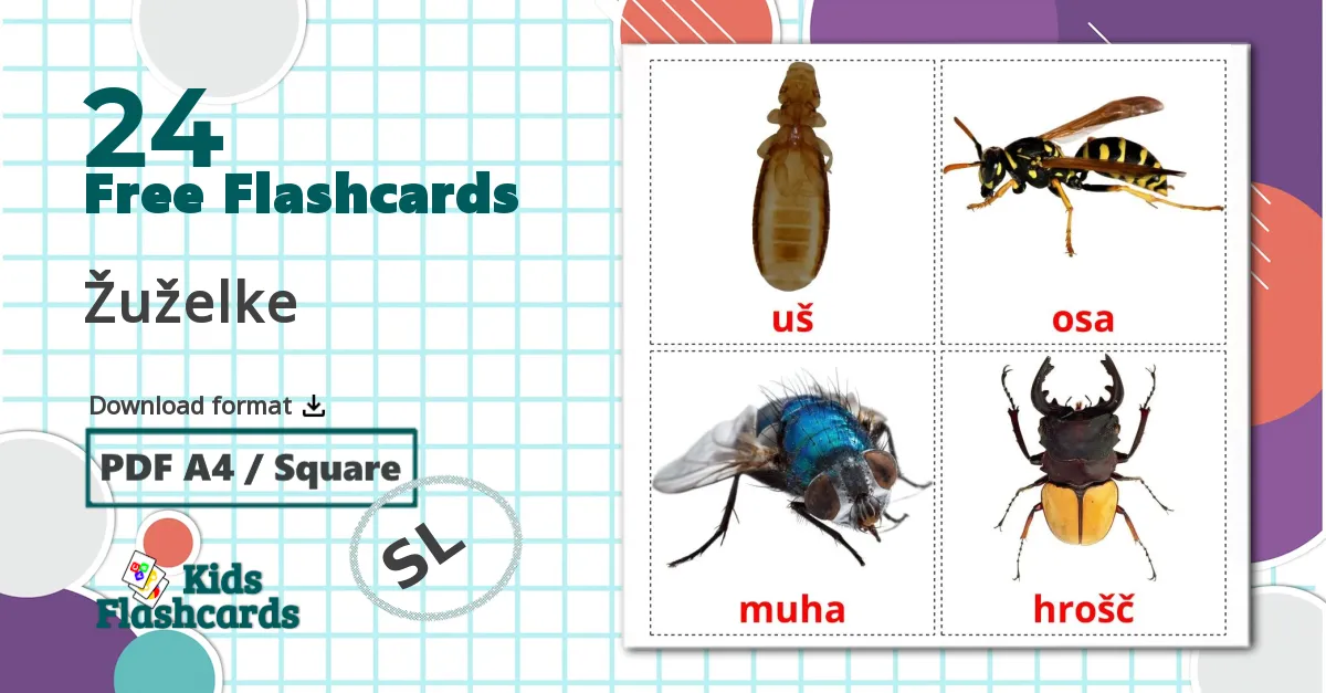 24 Žuželke flashcards