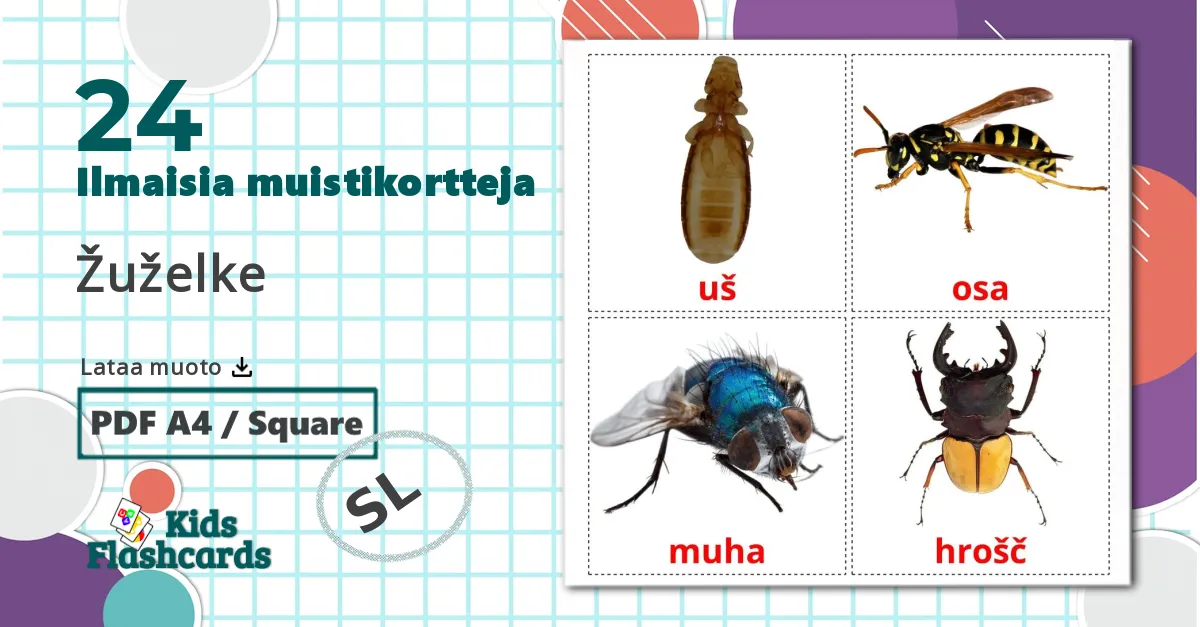 24 Žuželke lasten kuvakortit