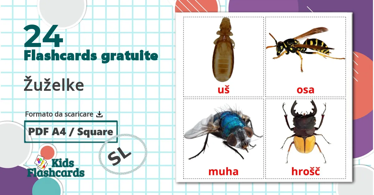 24 flashcards di Žuželke