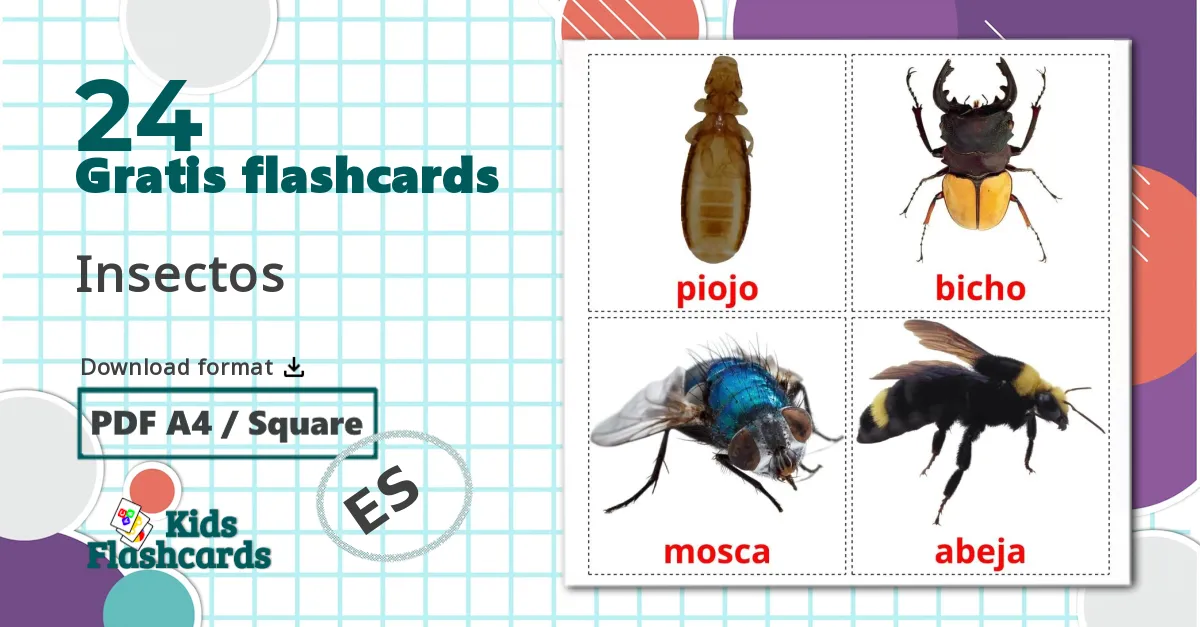24 Insectos billedkort for børn