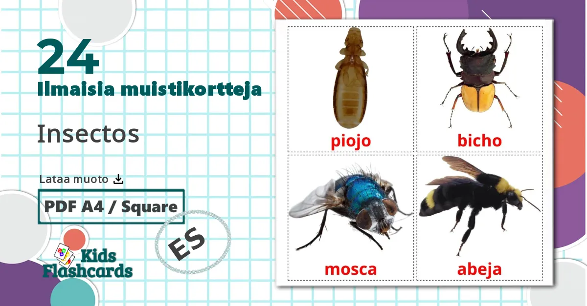 24 Insectos lasten kuvakortit